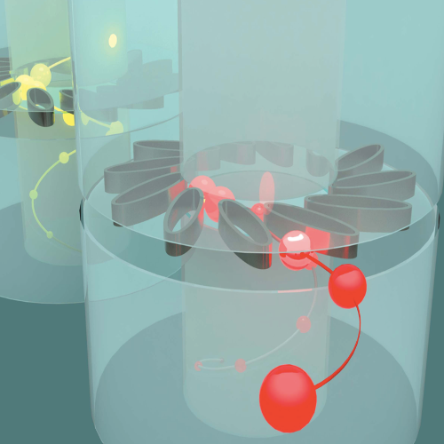 Sorting of Chiral Microswimmers published in Soft Matter