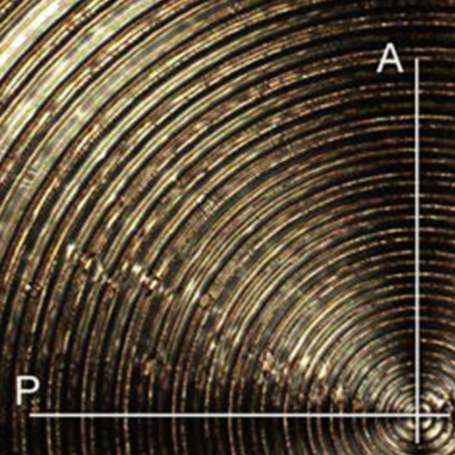 POLICRYPS to Generate Cylindrical Vector Beams published in Appl. Phys. Lett.
