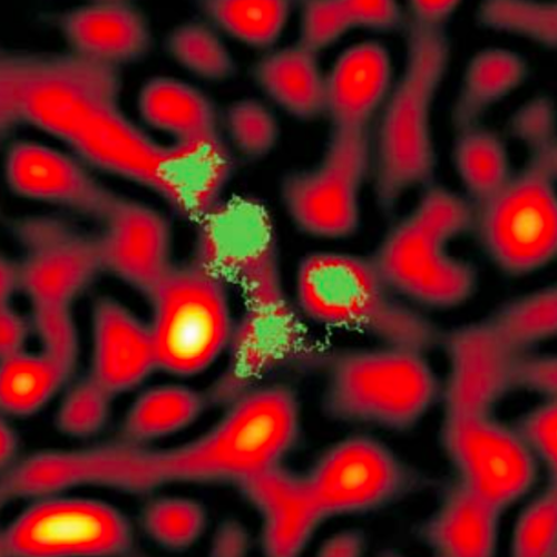 Brownian Motion in a Speckle Light Field published in Sci. Rep.