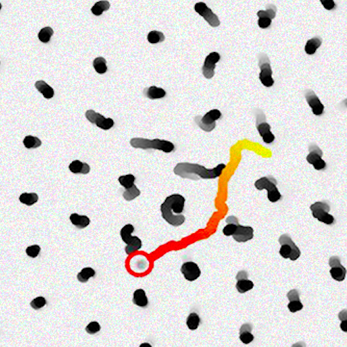 Active Atoms and Interstitials published in Phys. Rev. Lett.
