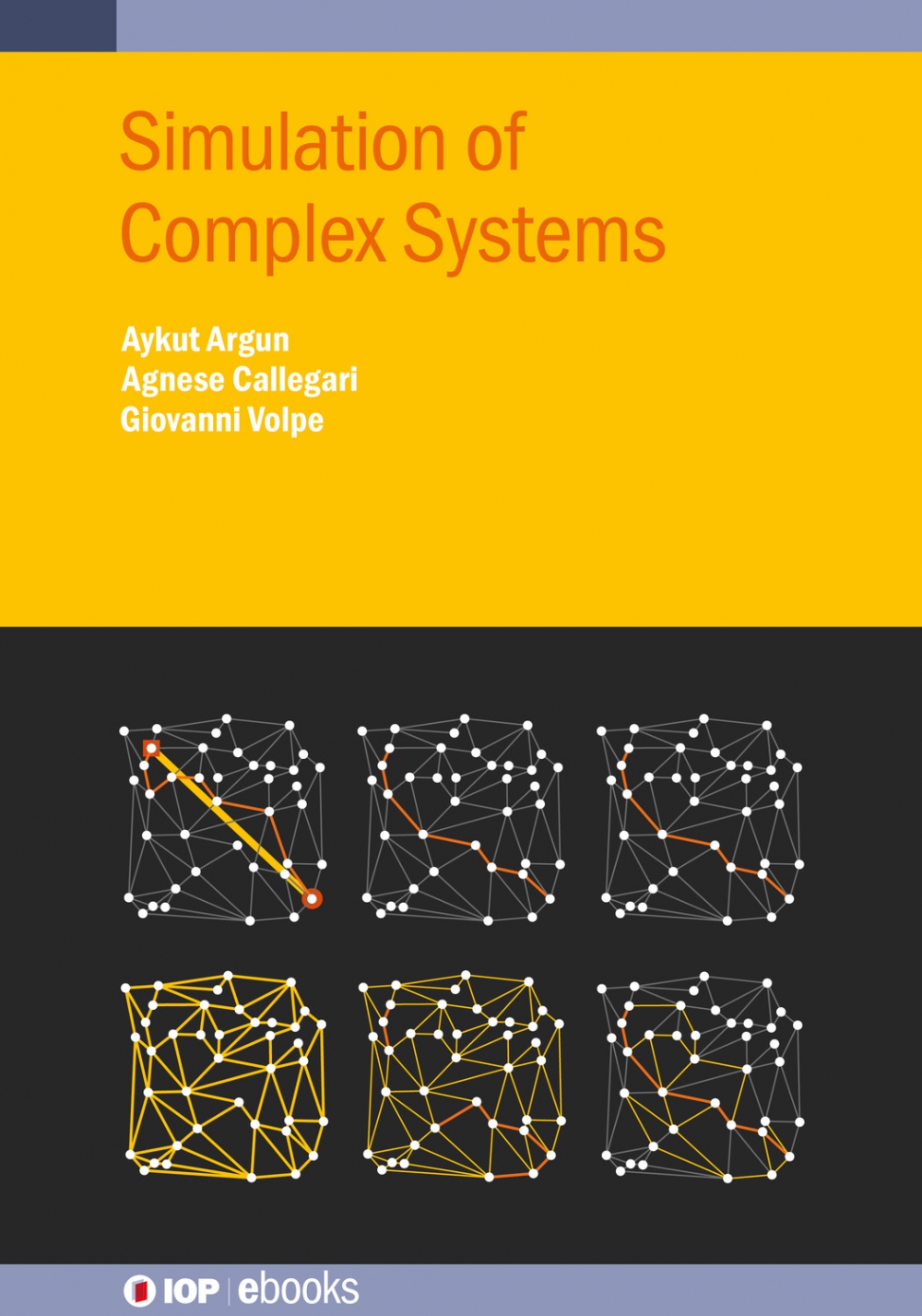 Simulation of Complex Systems Cover