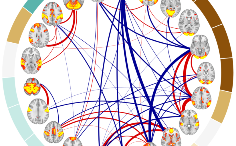 Sex differences in multilayer functional network topology over the course of aging in 37543 UK Biobank participants accepted on  Network Neuroscience