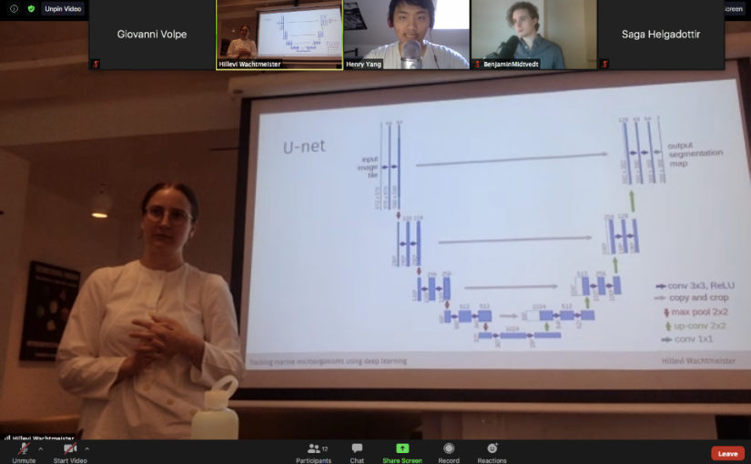 Hillevi Wachtmeister defended her Master Thesis on June 11, 2020. Congrats!
