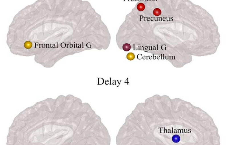 Directed Brain Connectivity Identifies Widespread Functional Network Abnormalities in Parkinson’s Disease published in Cerebral Cortex