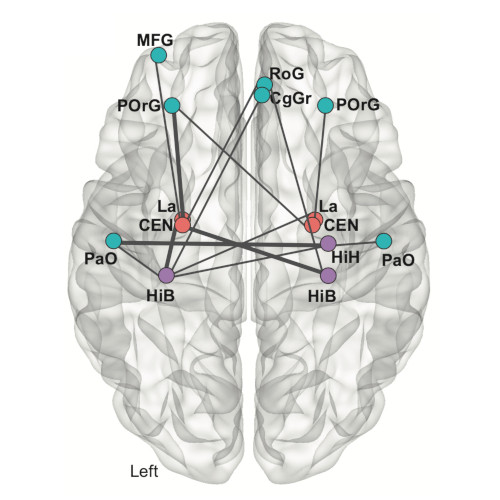 Connecting genomic results for psychiatric disorders to human brain cell types and regions reveals convergence with functional connectivity on medRxiv